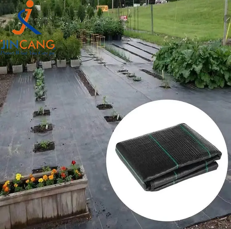 Pp toxunmuş alaq otu