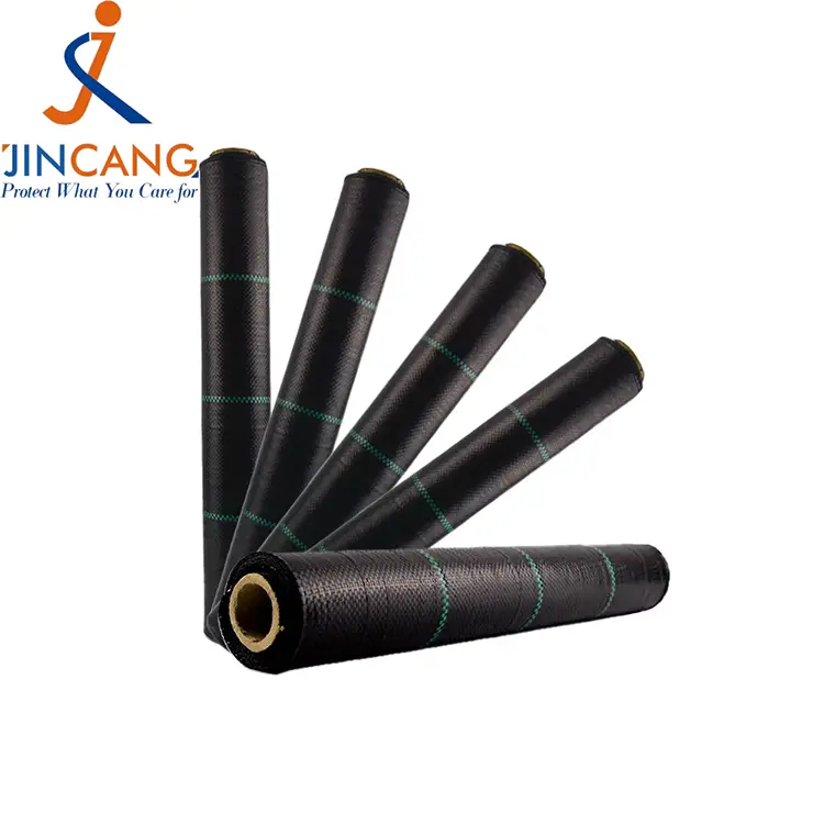 Pp toxunmuş alaq otu