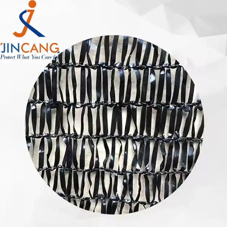 Günəş kölgəsi toru