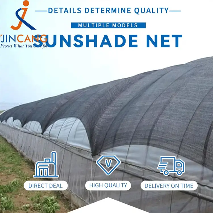 Günəş kölgəsi toru