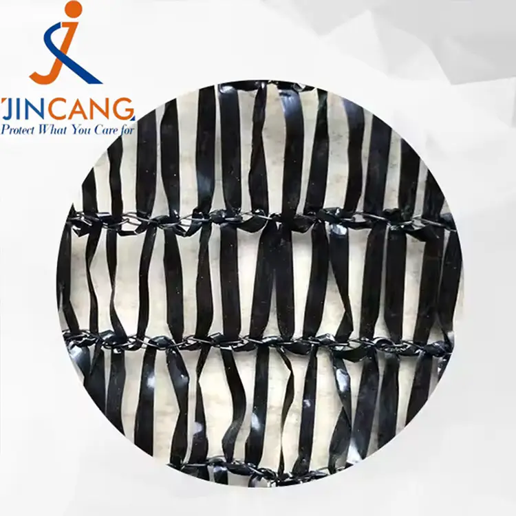 Günəş kölgəsi toru