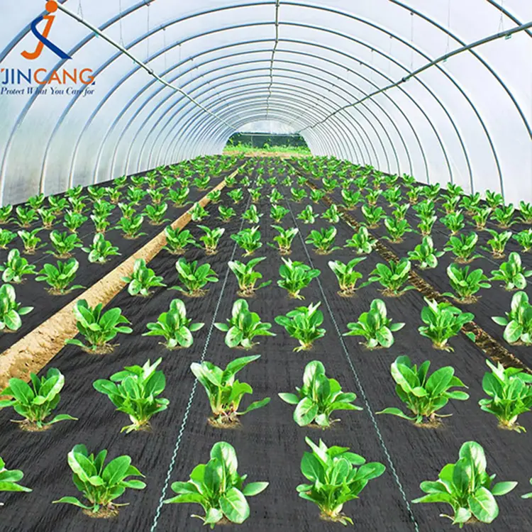 Geotextile ot maneəsi qara alaq altındakı maneə parça mat