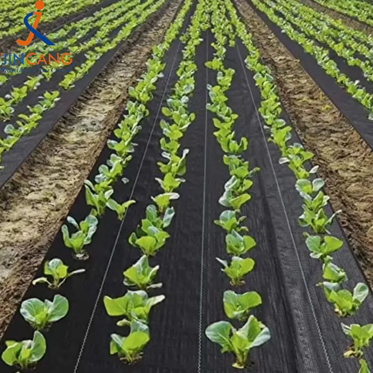 Davamlı ot döşəməsi